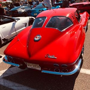 Meet your Posher, Samuel